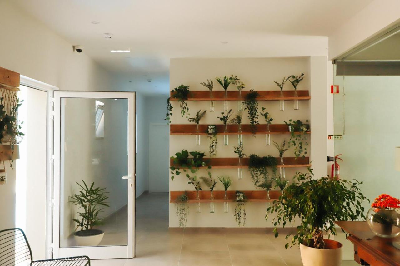 Ptm Downtown Hostel&Suites بورتيماو المظهر الخارجي الصورة